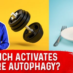 Autophagy: Exercise vs. Fasting