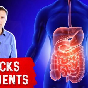 Inflamed Digestive System Blocks Nutrient Absorption