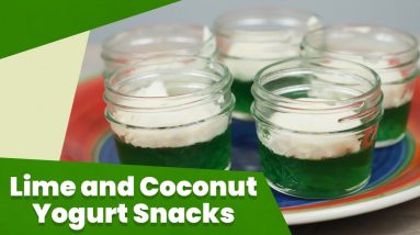 Keto Lime and Coconut Yogurt Snacks Recipe
