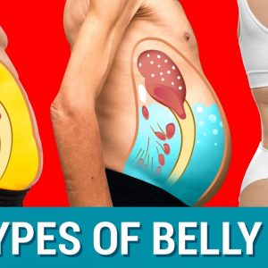 The 3 Belly Types