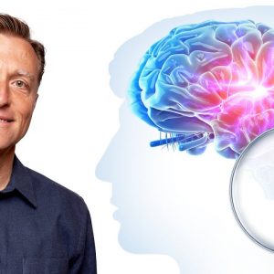 The #1 Best Brain Food to Boost Memory, Focus & Concentration (COGNITIVE FUNCTION)