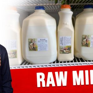 The Fascinating Benefits of RAW MILK Dairy