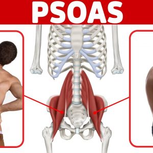 How to Release a Tight Psoas Muscle in ONE MINUTE / for Low Back Pain and Poor Posture