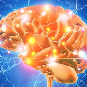 How to Boost Your Acetylcholine for Super Brain Power