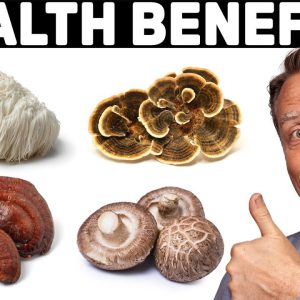 The Mind-Blowing Benefits of 4 Mushrooms