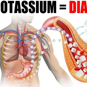 Potassium Deficiency Causes Diabetes
