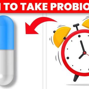 The BEST Time to Take Probiotics to Survive Stomach Acid