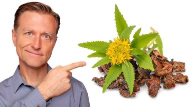 The Benefits of the RHODIOLA Herb