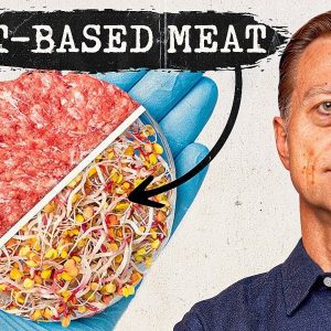What Would Happen If You Ate Plant-Based Meat for 2 Weeks